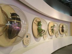 -陕西自然博物馆