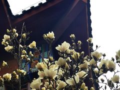 -中国中医科学院西苑医院(本部)