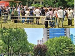 -中国福利会少年宫