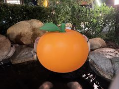 -威海天沐温泉度假区