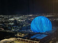 -拉斯维加斯永利酒店