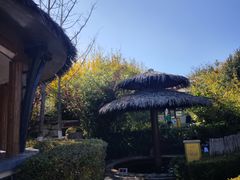 -大连金石滩绿发温泉假日酒店