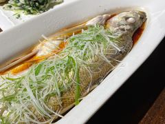 清蒸太湖白鱼-金枝玉叶上海人家食府(三里河店)
