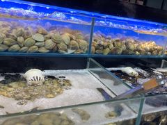 -苏格里岛·自助烤肉·火锅海鲜(金鼎广场店)