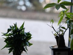 -宾朋海鲜美食餐厅·特色美食(兴海路店)