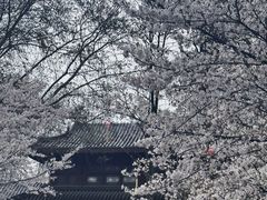 -堤角公园