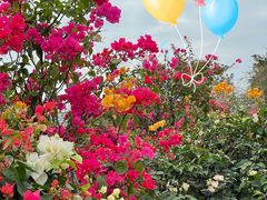 -三亚西岛海洋文化旅游区