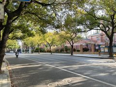-上海市普陀区中心医院