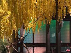 -金链花·泰国餐厅(国贸店)