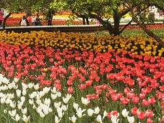 -长春公园(普阳街道)