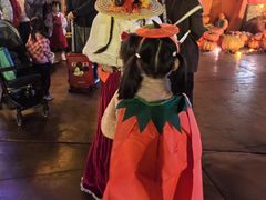 -郑州方特梦幻王国