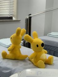 -上海首尔丽格医疗美容医院