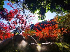 -广州市帽峰山景区