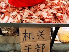 -蒲河大集
