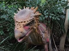 -呀路古热带植物园