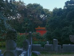 后院-明孝陵