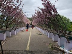 -观澜湖生态运动公社