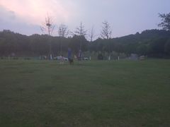 -羊山湖公园