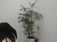 -浆木咖啡馆(湘子庙街店)