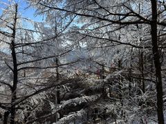 -崂山巨峰游览区