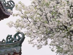 -中山公园