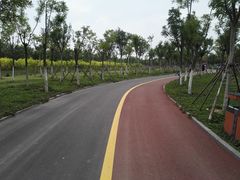 -天津东丽湖风景区