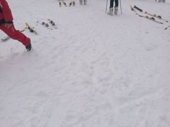 -浙东第一尖雪山欢乐谷