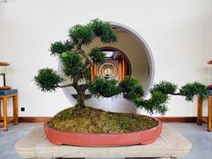 -腾冲和顺柏联酒店