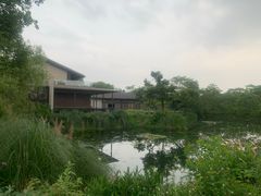 -木守西溪溪隐餐厅