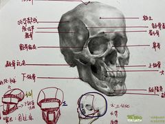-尼莫儿童美术(三阳路融科天城校区)