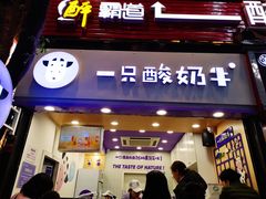 门面-一只酸奶牛(八一路店)
