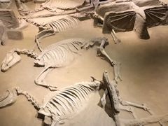 -洛阳周王城天子驾六博物馆