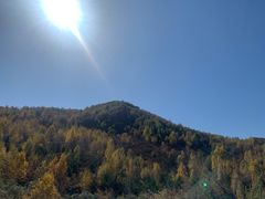 -御道口草原森林风景区
