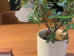 -CURRY YA 熟成咖哩專門店(深圳湾万象城店)