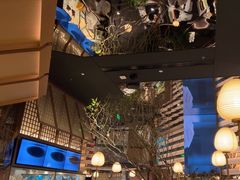 -桂满陇·海市蜃楼·黑金(国金店)