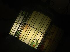 -久品居外婆人家(时光店)