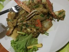 -Jungle Kitchen