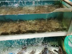 -盒马鲜生(昆城店)