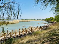 -野鸭湖国家湿地公园