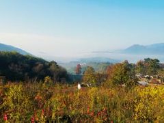 -塔川景区