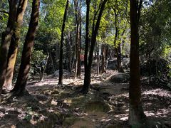 -火炉山森林公园
