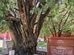 -北京市劳动人民文化宫(太庙)