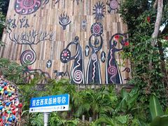 -西双版纳原始森林公园