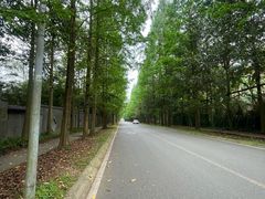 -都江堰普照寺