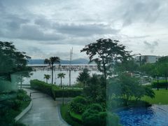 -希尔顿南海酒店·观廊大堂吧·海景下午茶