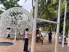 -后襄河公园