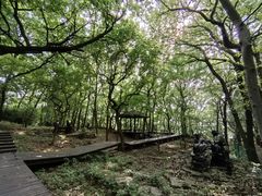 -宝岩生态观光园