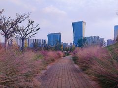 -桂溪生态公园