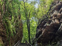 -九龙潭景区