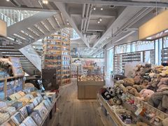 -猫的天空之城概念书店(北戴河蔚蓝海岸店)